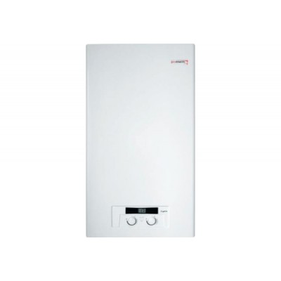 Газовый котел Protherm Lynx 24 BA двухконтурный